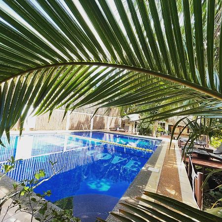 Palms Cove Resort Panglao Bagian luar foto